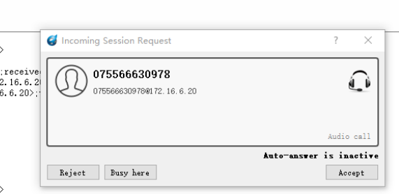 CalleeID and callerID Manipulation | OpenVox Document Center Pasted 17